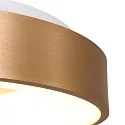 Steinhauer ceiling luminaire RINGLEDE - Ø 48CM large, round, direct / indirect IP20, gold dimmable