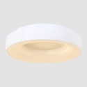Luminaria de techo RINGLEDE - Ø 48CM grande, redondo, directo / indirecto IP20, negro mate regulable