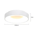 Luminaria de techo RINGLEDE - Ø 48CM grande, redondo, directo / indirecto IP20, negro mate regulable