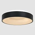 Luminaria de techo RINGLEDE - Ø 48CM grande, redondo, directo / indirecto IP20, negro mate regulable