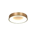 Steinhauer Luminaria de techo RINGLEDE - Ø 30CM pequeño, redondo, directo / indirecto IP20, dorado mate regulable