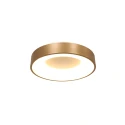 Steinhauer Luminaria de techo RINGLEDE - Ø 30CM pequeño, redondo, directo / indirecto IP20, dorado mate regulable