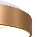 Steinhauer Luminaria de techo RINGLEDE - Ø 30CM pequeño, redondo, directo / indirecto IP20, dorado mate regulable
