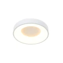 Steinhauer Luminaria de techo RINGLEDE - Ø 30CM pequeño, redondo, directo / indirecto IP20, blanco mate regulable