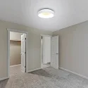 Steinhauer Luminaria de techo RINGLEDE - Ø 30CM pequeño, redondo, directo / indirecto IP20, blanco mate regulable