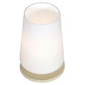 Steinhauer table lamp ANCILLA E27 IP20