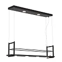 Steinhauer Luminaria colgante TØR de 6 llamas, con estante IP20, negro mate regulable