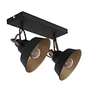 wall and ceiling luminaire NOVÉ 2 flames, adjustable E14 IP20, black matt dimmable