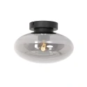 Steinhauer Luminaria de techo REFLEXION E27 IP20, negro regulable