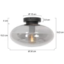 Steinhauer Luminaria de techo REFLEXION oval E27 IP20, color humo, negro regulable