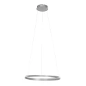 Steinhauer Luminaria colgante RINGLUX IP20, plata regulable