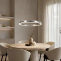 Steinhauer Luminaria colgante RINGLUX IP20, plata regulable