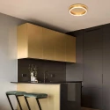 Steinhauer Luminaria de techo RINGLUX de 1 llama IP20, dorado regulable