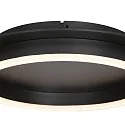 Steinhauer ceiling luminaire RINGLUX 1 flame IP20, black dimmable