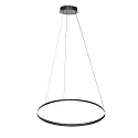 Steinhauer Luminaria colgante RINGLUX Arriba-Abajo IP20, negro regulable