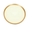 Steinhauer Luminaria de techo FLADY Arriba-Abajo IP20, dorado regulable
