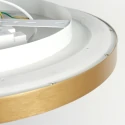 Steinhauer Luminaria de techo FLADY Arriba-Abajo IP20, dorado regulable