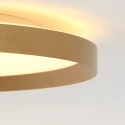 Steinhauer Luminaria de techo FLADY Arriba-Abajo IP20, dorado regulable