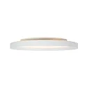 Steinhauer Luminaria de techo FLADY IP20, regulable