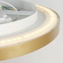 Steinhauer ceiling luminaire FLADY up / down IP20, gold dimmable