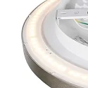 Steinhauer Luminaria de techo FLADY IP20, regulable