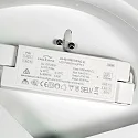 Steinhauer Luminaria de techo FLADY IP20, regulable
