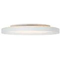 Steinhauer Luminaria de techo FLADY IP20, regulable