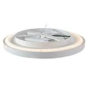 Steinhauer Luminaria de techo FLADY IP20, regulable