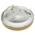 Steinhauer Luminaria de techo RINGLEDE IP20, dorado regulable
