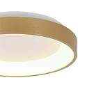 Steinhauer Luminaria de techo RINGLEDE IP20, dorado regulable
