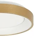 Steinhauer Luminaria de techo RINGLEDE IP20, dorado regulable