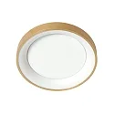 Steinhauer Luminaria de techo RINGLEDE IP20, dorado regulable