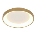 Steinhauer Luminaria de techo RINGLEDE IP20, dorado regulable