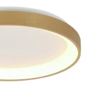 Steinhauer Luminaria de techo RINGLEDE IP20, dorado regulable