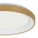 Steinhauer Luminaria de techo RINGLEDE IP20, dorado regulable