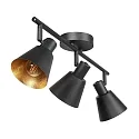 Mexlite Luminaria de techo OEROE E14 IP20, regulable