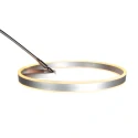 Steinhauer Luminaria de pedestal RINGLUX IP20, regulable