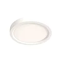 Steinhauer Luminaria de techo CEILING AND WALL IP44, regulable