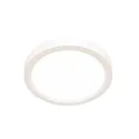 Steinhauer Luminaria de techo CEILING AND WALL IP44, regulable