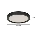 Steinhauer ceiling luminaire CEILING AND WALL IP44, dimmable