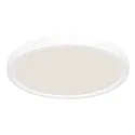 Steinhauer Luminaria de techo CEILING AND WALL IP44, regulable