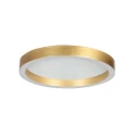 ceiling luminaire RINGLUX IP20, dimmable