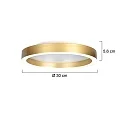 Steinhauer ceiling luminaire RINGLUX IP20, dimmable