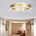 Steinhauer ceiling luminaire RINGLUX IP20, dimmable