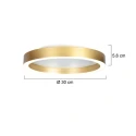 Steinhauer Luminaria de techo RINGLUX de 2 llamas IP20, dorado regulable