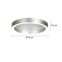 Steinhauer Luminaria de techo RINGLUX de 2 llamas IP20, acero regulable
