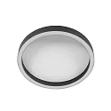 Steinhauer Luminaria de techo RINGLUX IP20, regulable