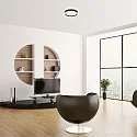 Steinhauer Luminaria de techo RINGLUX IP20, regulable