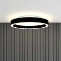 Steinhauer Luminaria de techo RINGLUX de 2 llamas IP20, negro regulable