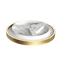 Steinhauer Luminaria de techo RINGLUX IP20, regulable